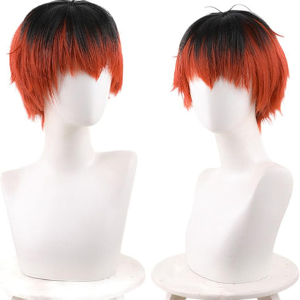 Monenjoy 葬送のフリーレン フリーレン ポニーテール ウィッグ ロング 自然 グラデーション フルウィッグ バレない セミロング ミディアム 可愛い ハイトーンカラー ハイライト かつら - Monenjoy