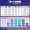 Monenjoy 崩壊スターレイル サフェル コスプレ衣装　コスチューム　セファリア Cifera 腿カバー付　尻尾付　豪華アクセサリー　GS1218 - Monenjoy