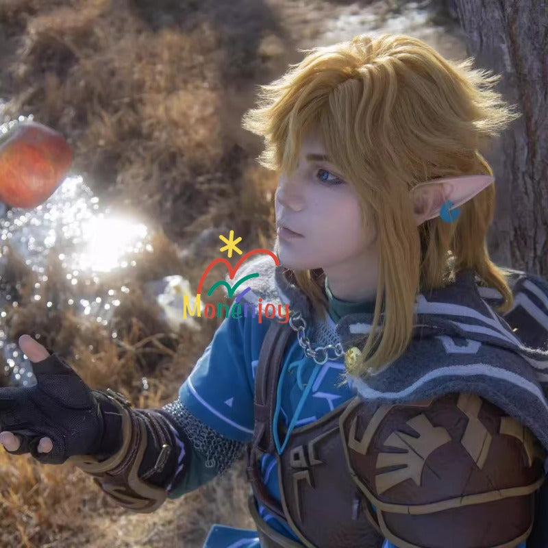 Monenjoy ゼルダの伝説ティアーズオブザキングダム リンク コスプレ　マント　豪華コスプレ衣装　 重工刺繍ケープ（マント） - Monenjoy