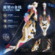 予約　Monenjoy　原神風　リンネア　弓 霜契の金枝 Golden Frostbound Oath　コスプレ道具　二次創作 同人オリジナルデザイン オリジナル風　モチーフ武器  2段階突破後　PLA材質　イベント舞台対応 MONENJOY