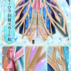 Monenjoy 原神 ヴェスナ コスプレ衣装｜金属製パーツ・ホログラム妖精の羽付き